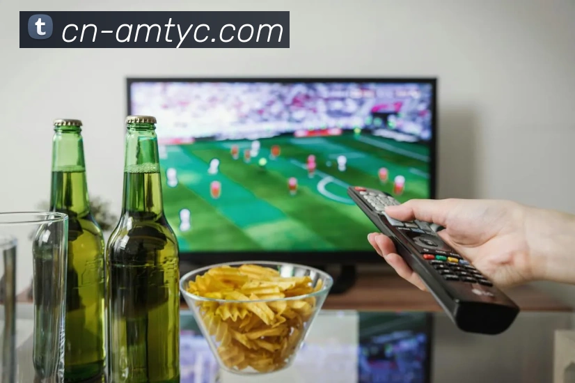 多媒体互动体验